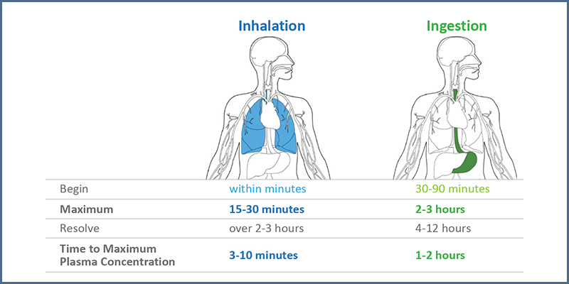 Figure 2 – Timelines for psychoactive effects following THC inhalation or ingestion