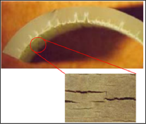 Figure 21 - Severely degraded inner surface of polyethylene water pipe.