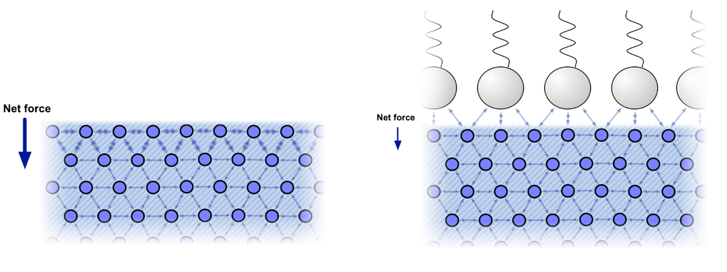 Illustration of water molecules demonstrating cohesive intra-molecular bonding, and the conceptualization of these forces in response to the addition of an oil