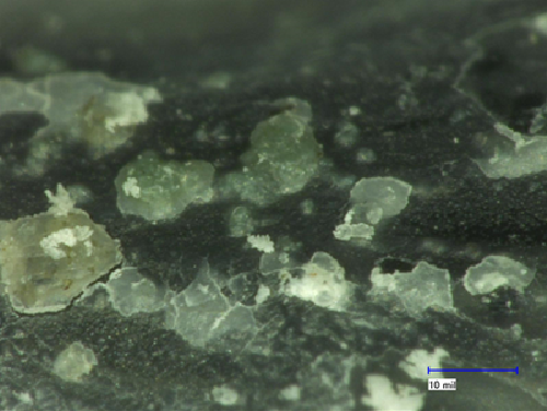 Figure 3 - Deposit on the surface of the baby bottle liner seen under digital microscope at 200 times magnification.