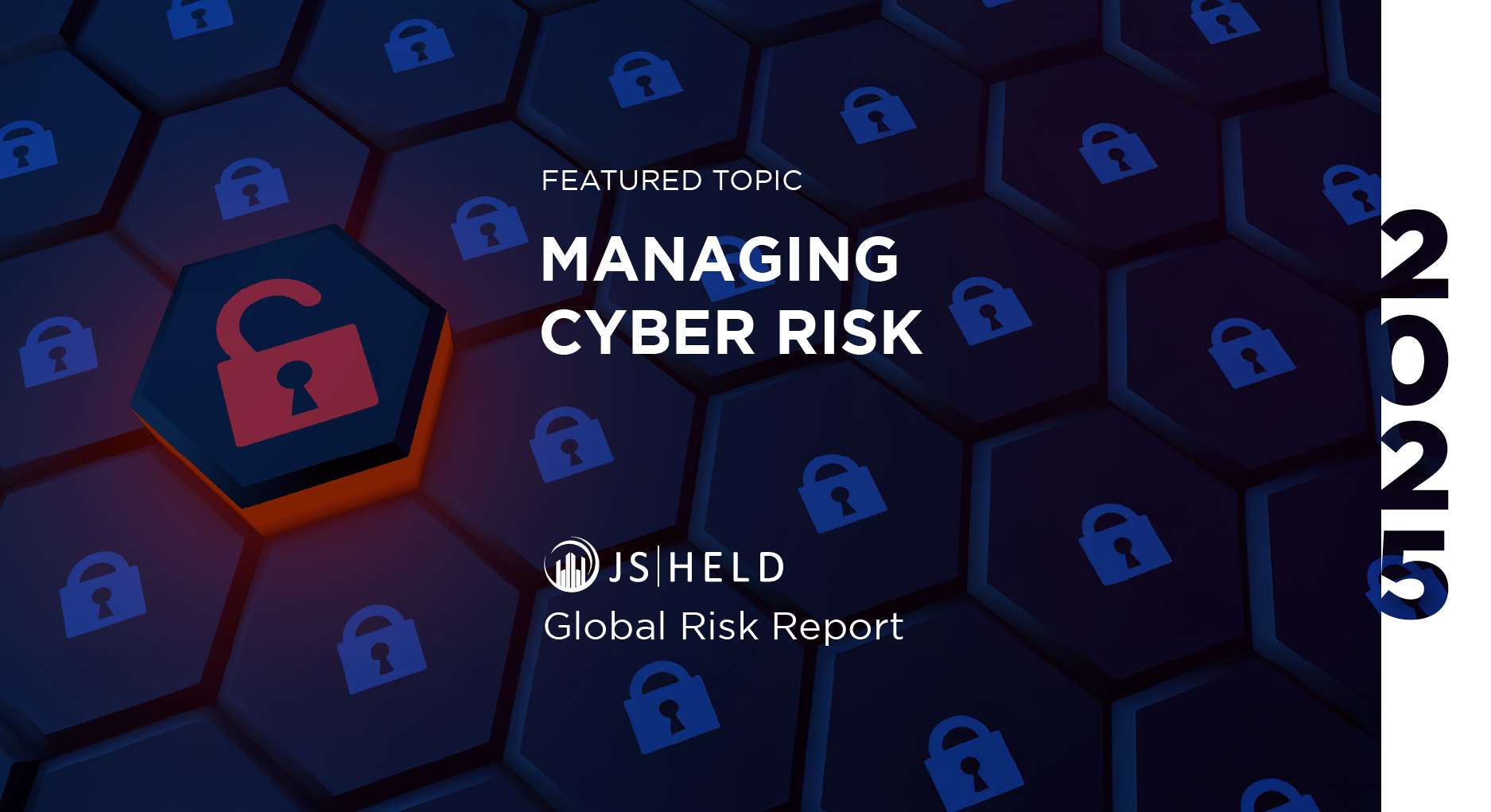 Global Cyber Risks & Opportunities in 2025